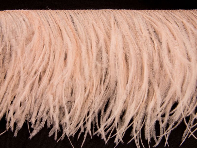 Fashion Ostrich Feather Fringe (2 ply on a cord) 1