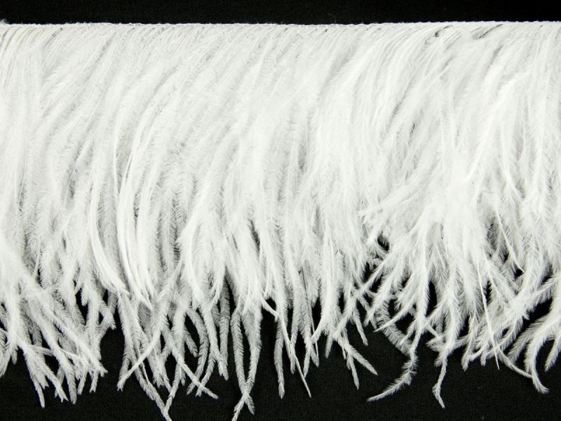 Fashion Ostrich Feather Fringe (2 ply on a cord) 3