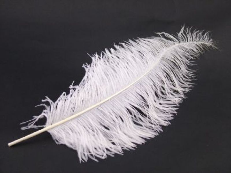 Spadone Ostrich Feather (50-65cm) 2