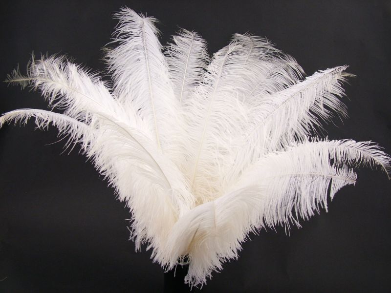 Spadone Ostrich Feather (50-65cm) 3