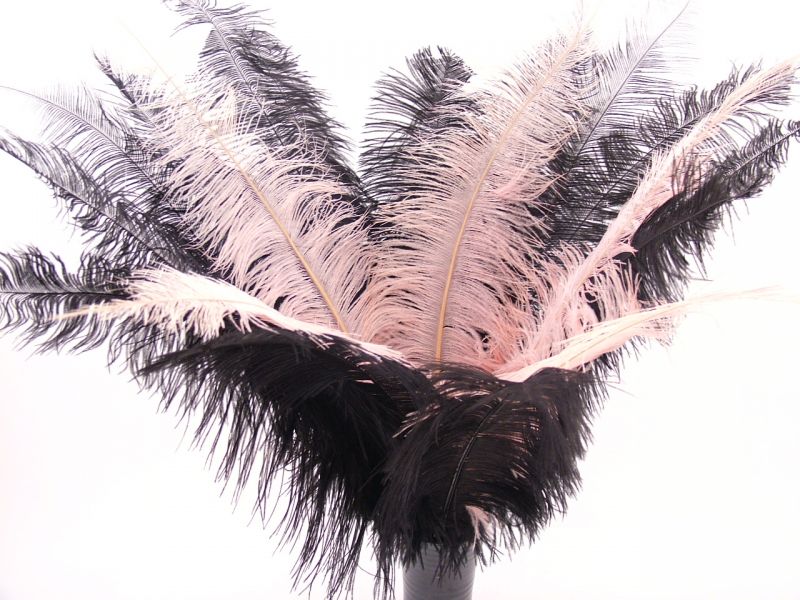 Spadone Ostrich Feather (50-65cm) 5