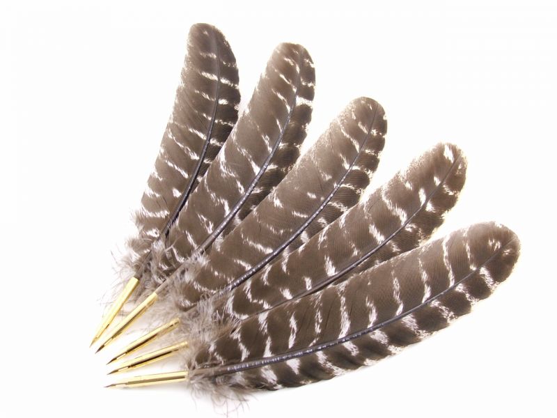 Bronze Turkey Feather Pen 1