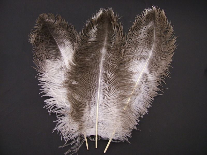 Natural Ostrich Wing Feather (50-65cm) 2
