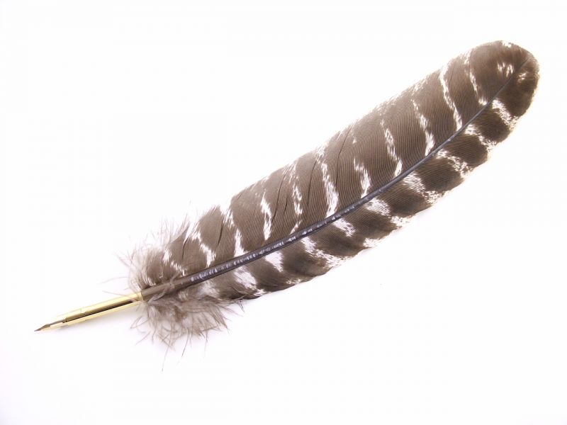 Feather Pens Natural Bronze Turkey Feather Nib