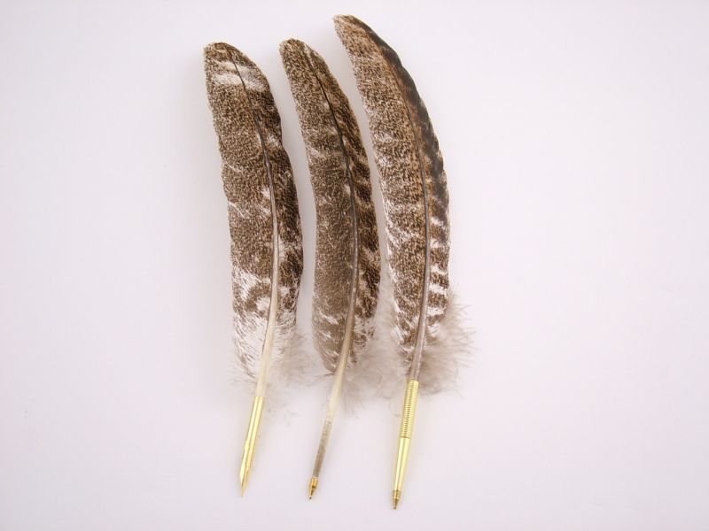 Naragansett Feather Pen 2