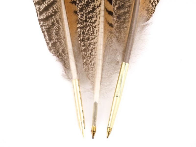 Peacock Wing Feather Pen 2