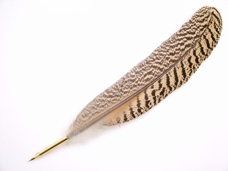 Peacock Wing Feather Pen 3