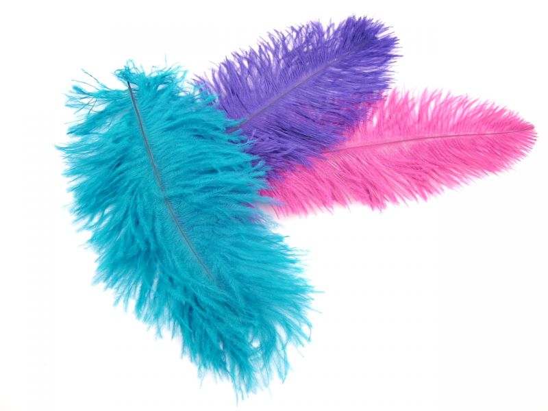 Mini Ostrich Feather Plumes (Pack of 5) 1