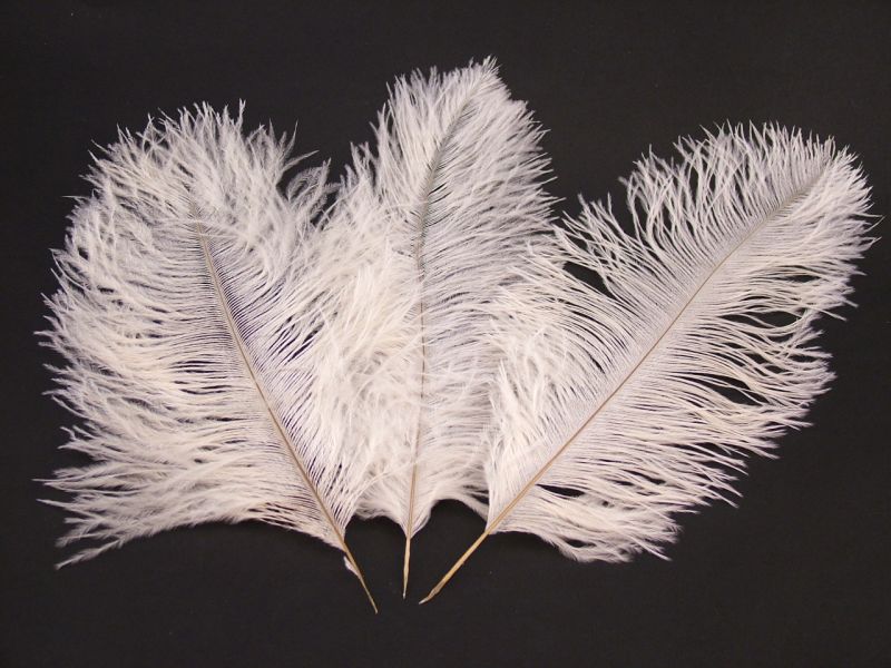 Mini Ostrich Feather Plumes (Pack of 5) 2