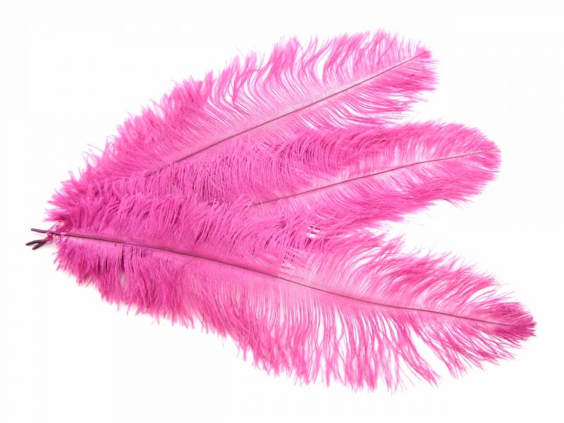 Mini Ostrich Feather Plumes (Pack of 5) 3