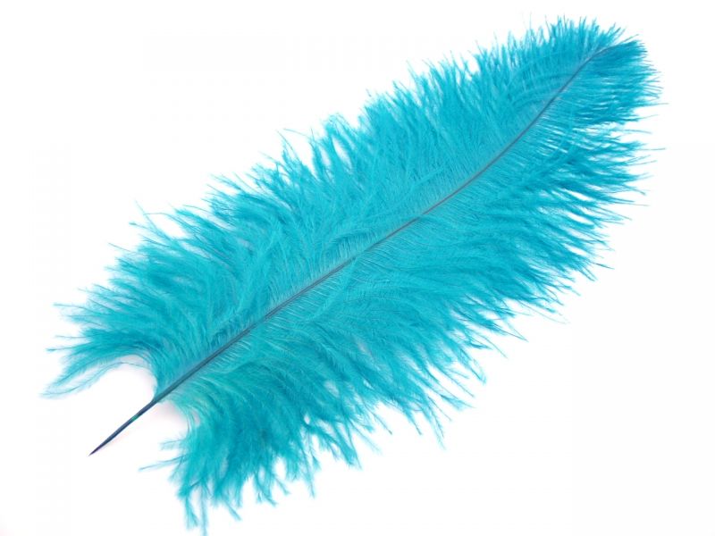 Mini Ostrich Feather Plumes (Pack of 5) 4