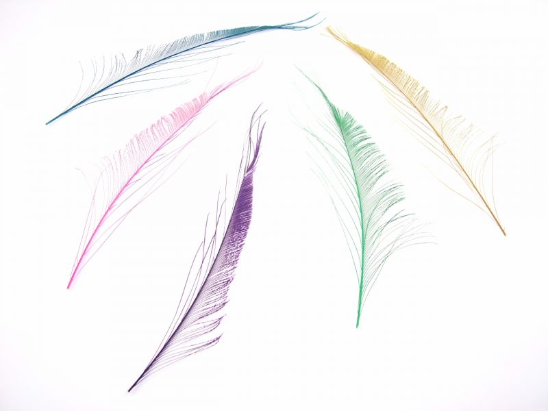 Dyed Peacock Feathers - Sword (Pack of 5) 1