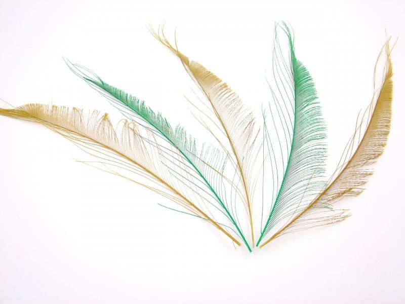 Dyed Peacock Feathers - Sword (Pack of 5) 2