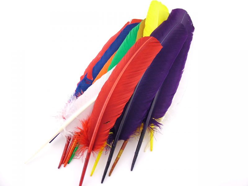 Turkey Quill Craft Pack (Pack of 15) 1