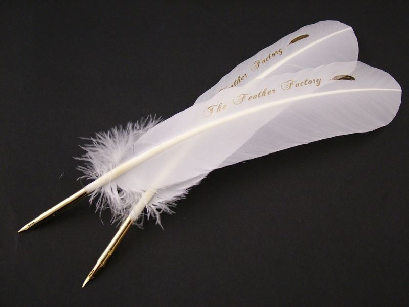 Engraved Feather Pen  3