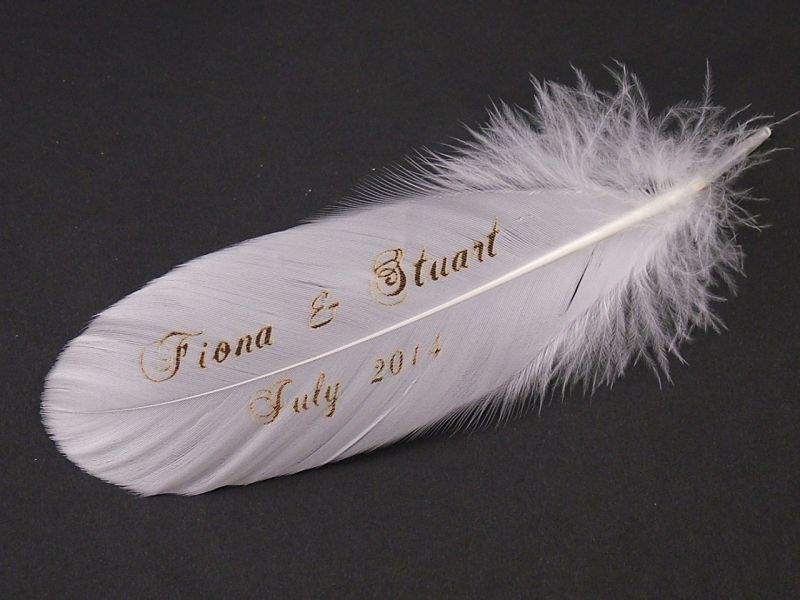Invitation Feather (Pack of 10) 4