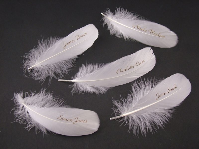Table Setting Feathers (Pack of 10) 1
