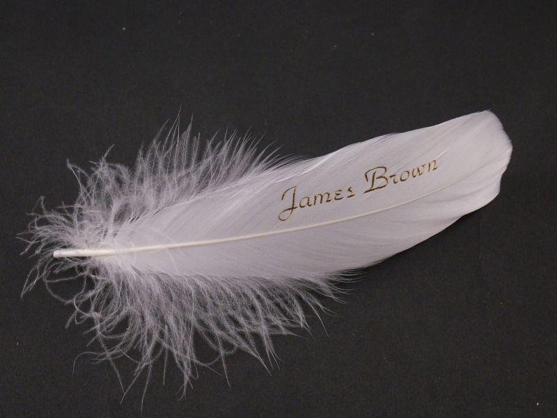 Table Setting Feathers (Pack of 10) 2
