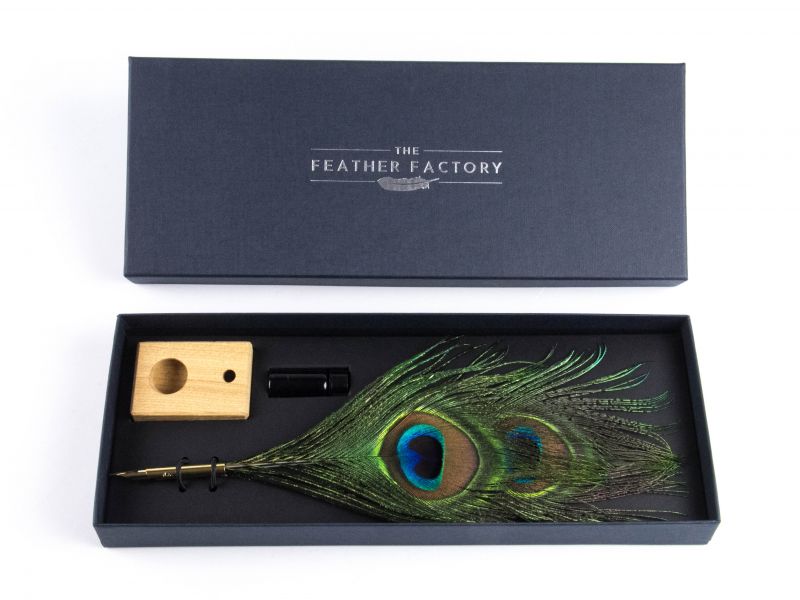 Peacock Eye Feather Nib Pen Set 1