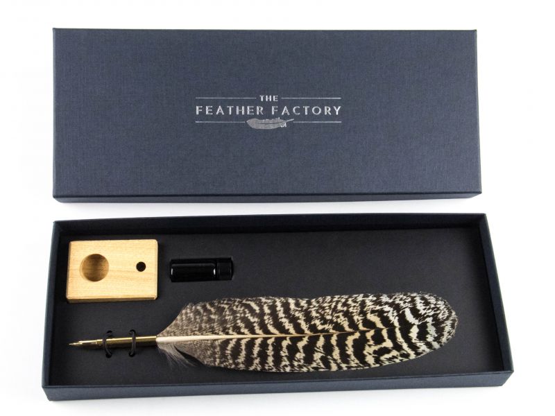 Peacock Wing Feather Nib Pen Set 1