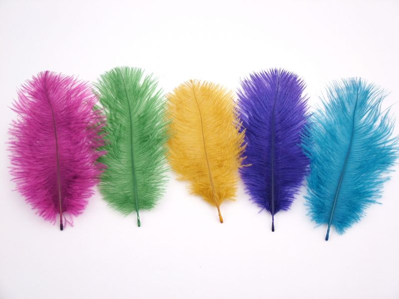 Baby Ostrich Feathers (Pack of 10) 1