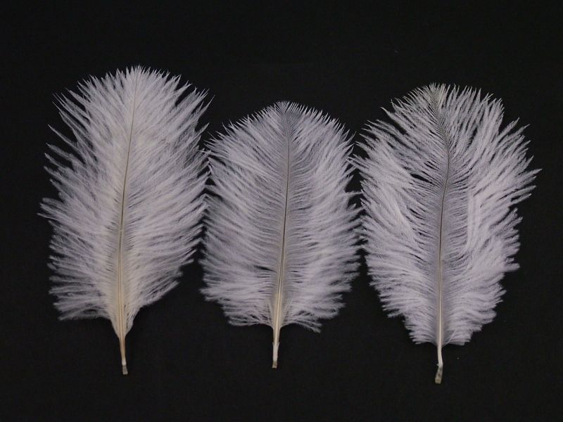 Baby Ostrich Feathers (Pack of 10) 4