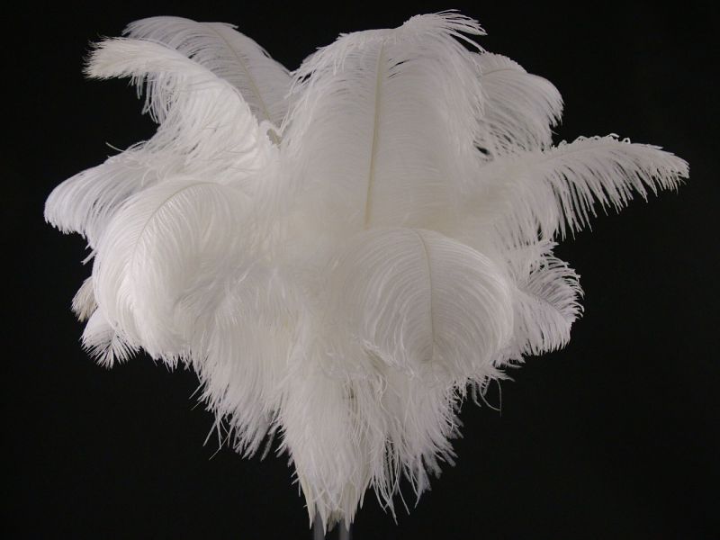 Large Ostrich Feather Table Centrepiece 1