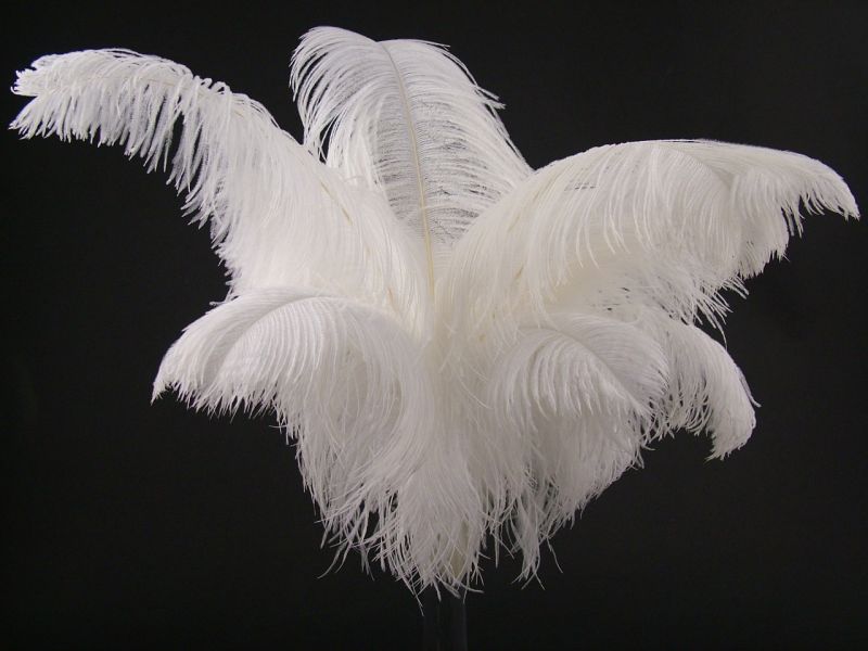 Ostrich Feather Table Centrepiece 1