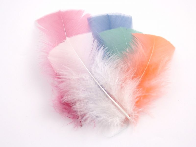 Turkey Coquille Craft Feathers (20g Pack) - Fantasy Mix 2