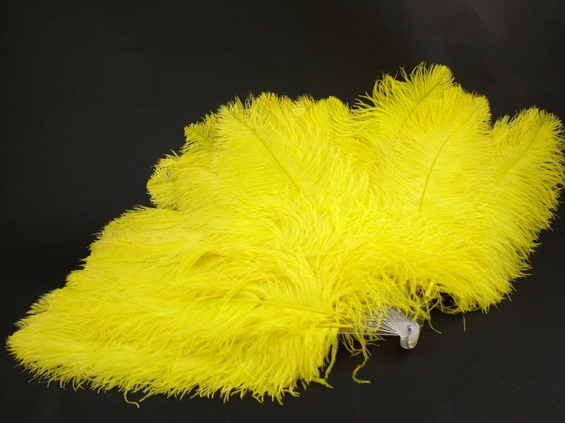 Ostrich Feather Fans Dyed Costume Feathers