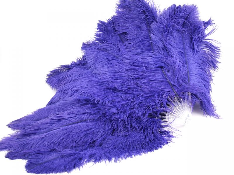Ostrich Feather Fans Dyed Costume Feathers