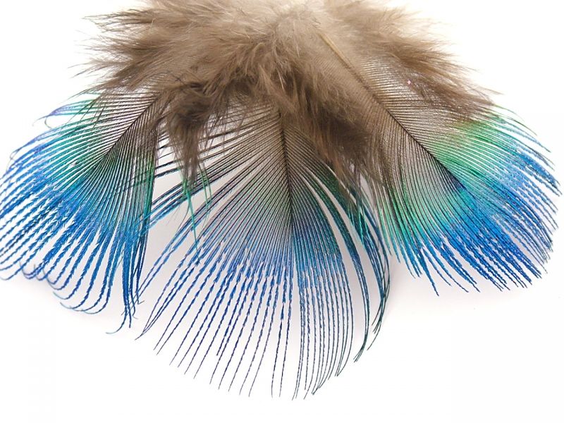 Blue Peacock Plumage (2g Pack)  3