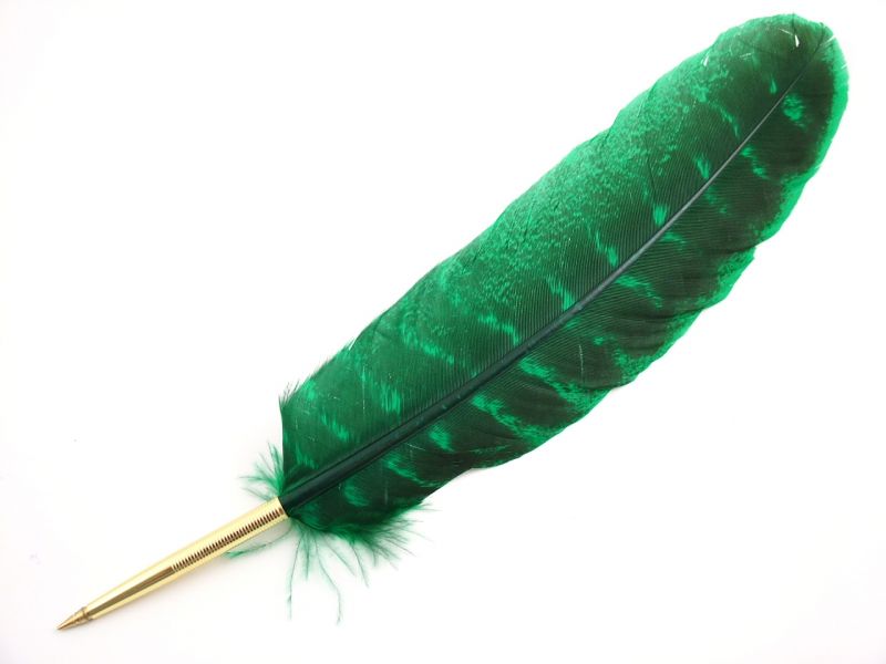Dyed Bronze Turkey Feather Pen 3