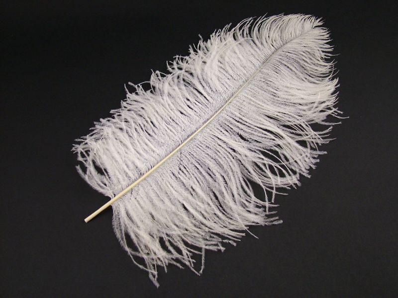 Short Ostrich Premium Wing Feather (40-50cm) 3