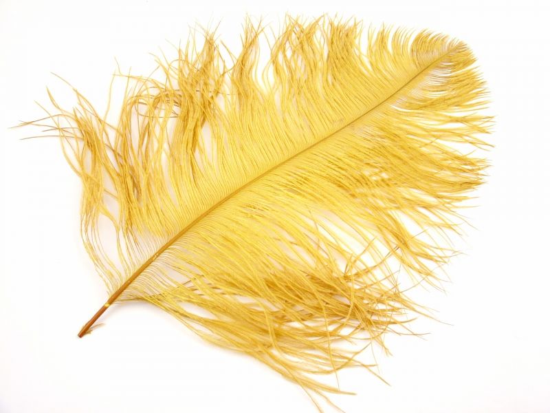 Short Ostrich Premium Wing Feather (40-50cm) 4