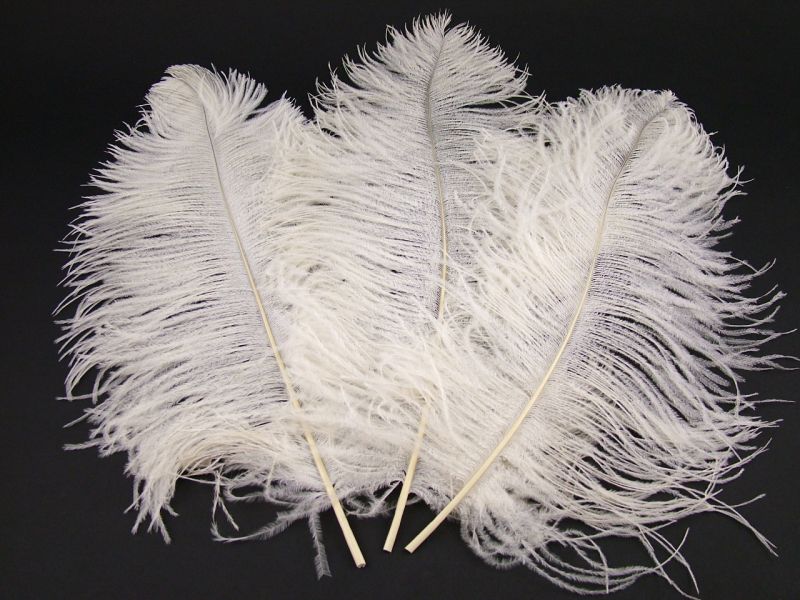 Short Ostrich Premium Wing Feather (40-50cm) 5