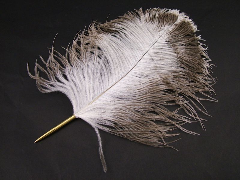 Natural Ostrich Feather Pen 1