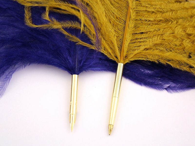 Natural Ostrich Feather Pen 2
