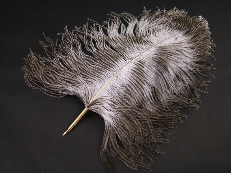 Natural Ostrich Feather Pen 3