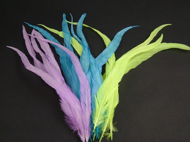 Coque Feathers (Pack of 12) 1