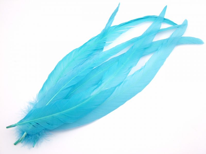 Coque Feathers (Pack of 12) 3