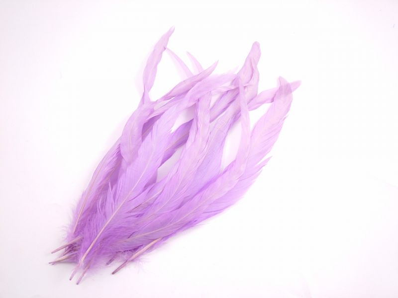 Coque Feathers (Pack of 12) 5