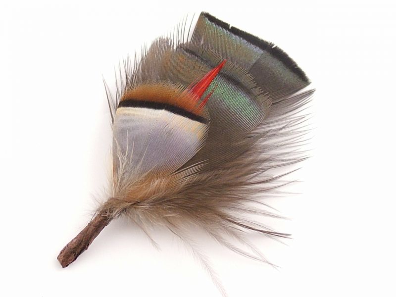 Traditional Feather Hat Mount 1