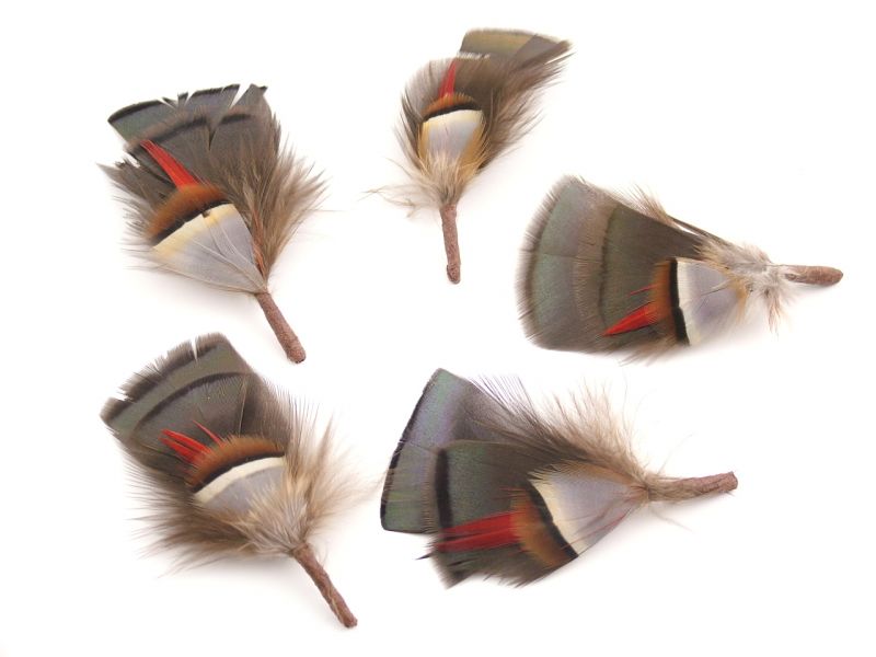 Traditional Feather Hat Mount 3