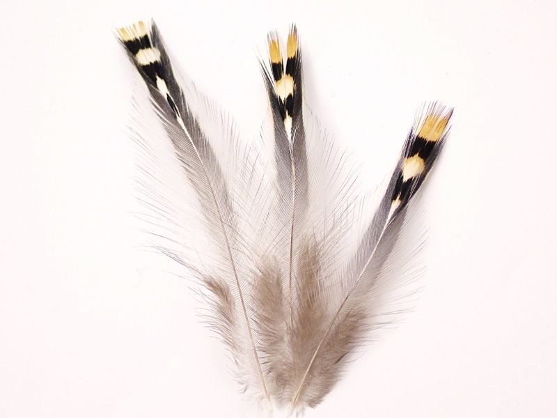 Jungle Cock Feathers (Pack of 10) 1