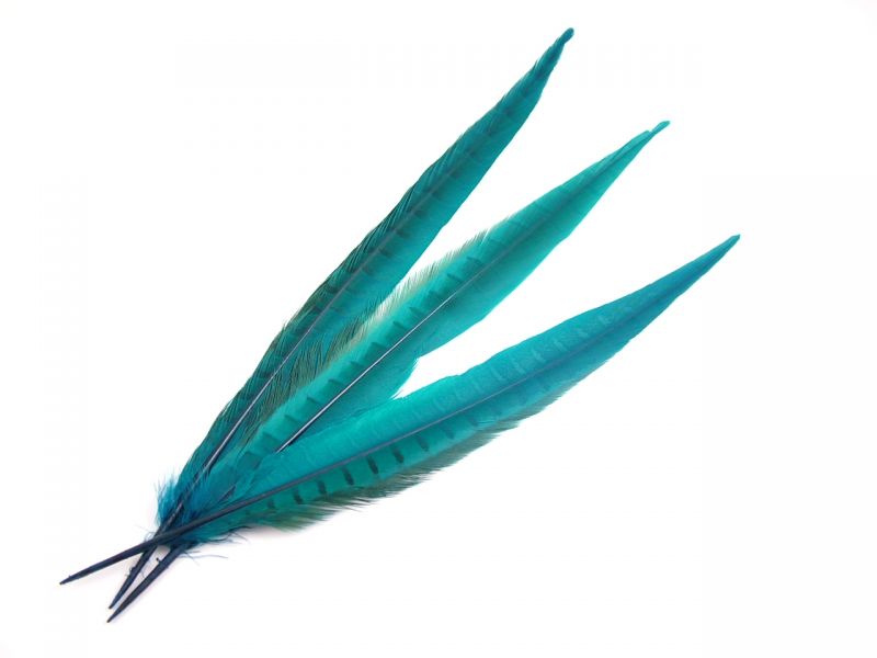 Dyed Pheasant Side Tail Feather (Pack of 5) 3