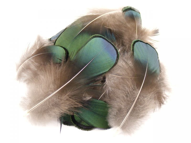 Lady Amherst Green Plumage feathers (1g Pack) 1