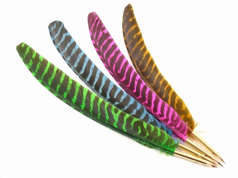Dyed Bronze Turkey Pointer Feather Pen 1