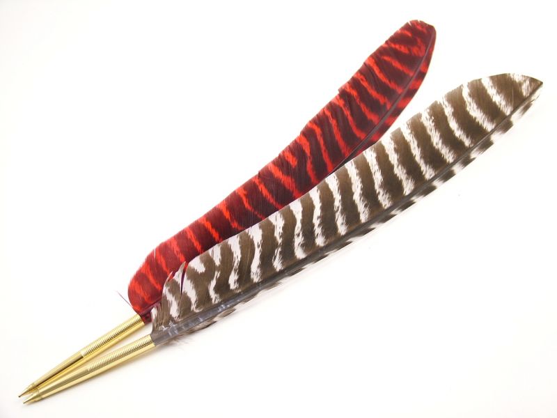 Dyed Bronze Turkey Pointer Feather Pen 3