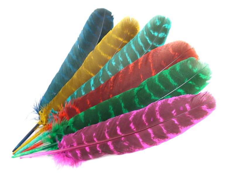 Dyed Bronze Turkey Quills (Pack of 5) 1